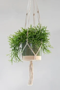 ohgreen Potten En Vazen|Hanger Stitt