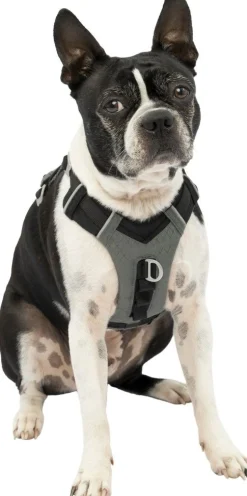 ohgreen Hals-En Leibanden|Harnas kurgo journey air tuigje -s