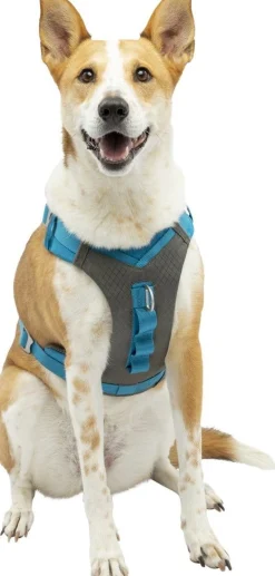 ohgreen Hals-En Leibanden|Harnas kurgo journey air tuigje bl-l