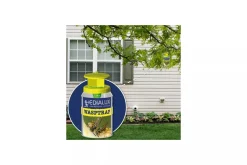 ohgreen Vliegen En Wespen|Herbruikbare wespenval