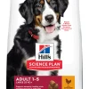 ohgreen Werelddierendag|Hond Voeding|Hill's science plan adult large breed hondenvoer kip 2,5kg