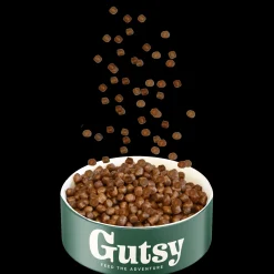 ohgreen Hond Voeding|Hondenbrokken kip en insect 6kg adult small