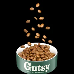 ohgreen Hond Voeding|Hondenbrokken kip en insect 10kg adult large