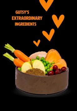 ohgreen Hond Voeding|Hondenbrokken kip en insect 10kg adult small