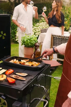 ohgreen Bbq|Houtskoolbarbecue Carbone 2.0