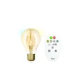 ohgreen Verlichting|Ecocheques|Idual filament bulb a e27 ambergoud + remote