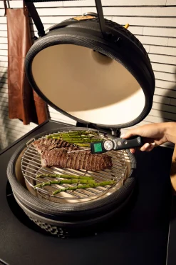 ohgreen Accessoires En Onderhoud|Instant thermometer