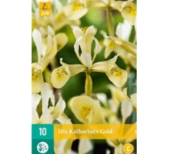 ohgreen Voorjaar|Ecocheques|Iris reticulata Katherine's Gold