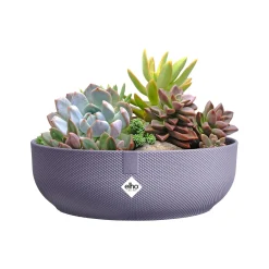 ohgreen Ecocheques|Potten En Vazen|Jazz bowl