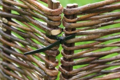 ohgreen Bind En Steun|Ecocheques|Kabelbinder 30cm zwart 25 stuks