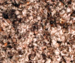 ohgreen Bodembedekkers|Katoenbedding reukvrij 1,5kg