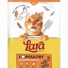 ohgreen Werelddierendag|Kat Voeding|Kattenbrokken lara adult with chicken-turkey 1,9kg