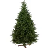 ohgreen Kerstbomen|Kerstbomen Kunststof|Kerstboom kentucky 228cm