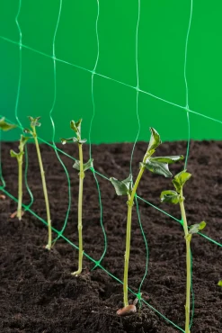 ohgreen Bind En Steun|Ecocheques|Klim-groei-geleidenet 2x5m groen