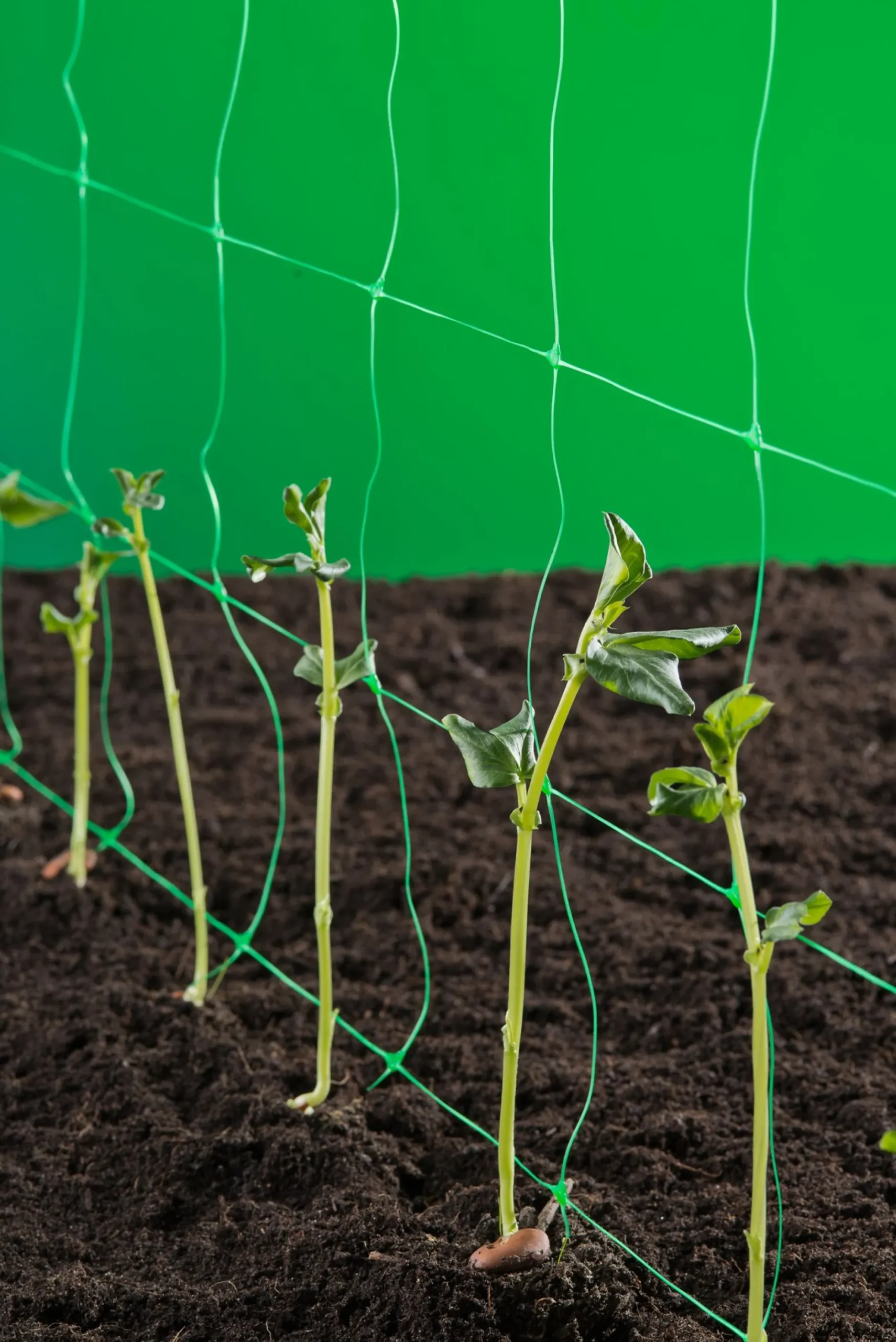 ohgreen Bind En Steun|Ecocheques|Klim-groei-geleidenet 2x5m groen