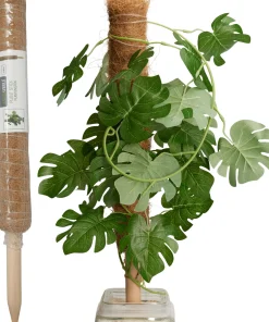 ohgreen Ecocheques|Bind En Steun|Kokosplantenstok