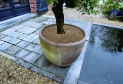 ohgreen Winter|Ecocheques|Kokosschijf Ø30cm 3 stuks