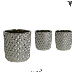 ohgreen Vaste Planten|Ecocheques|Kolibri home diam silver potje