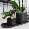 ohgreen Vaste Planten|Ecocheques|Kolibri home moon potje