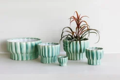 ohgreen Sfeermakers|Kom ocean