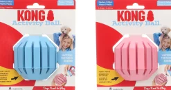 ohgreen Speelgoed|Kong puppy activity ball m