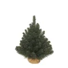 ohgreen Kerstbomen|Kerstbomen Kunststof|Kunstkerstboom Alpine h60cm
