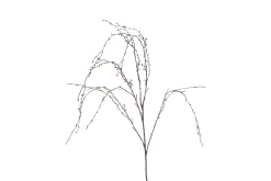 ohgreen Sfeermakers|Herfst|Kunsttak