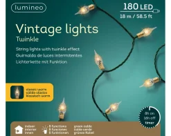 ohgreen Basis Kerstverlichting|Led vintage lights