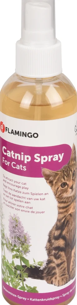 ohgreen Verzorging|Lokstof premium care derek  catnip oranje