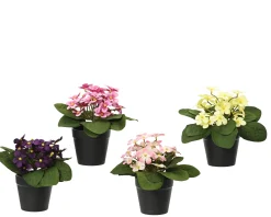 ohgreen Sfeermakers|Madeliefje