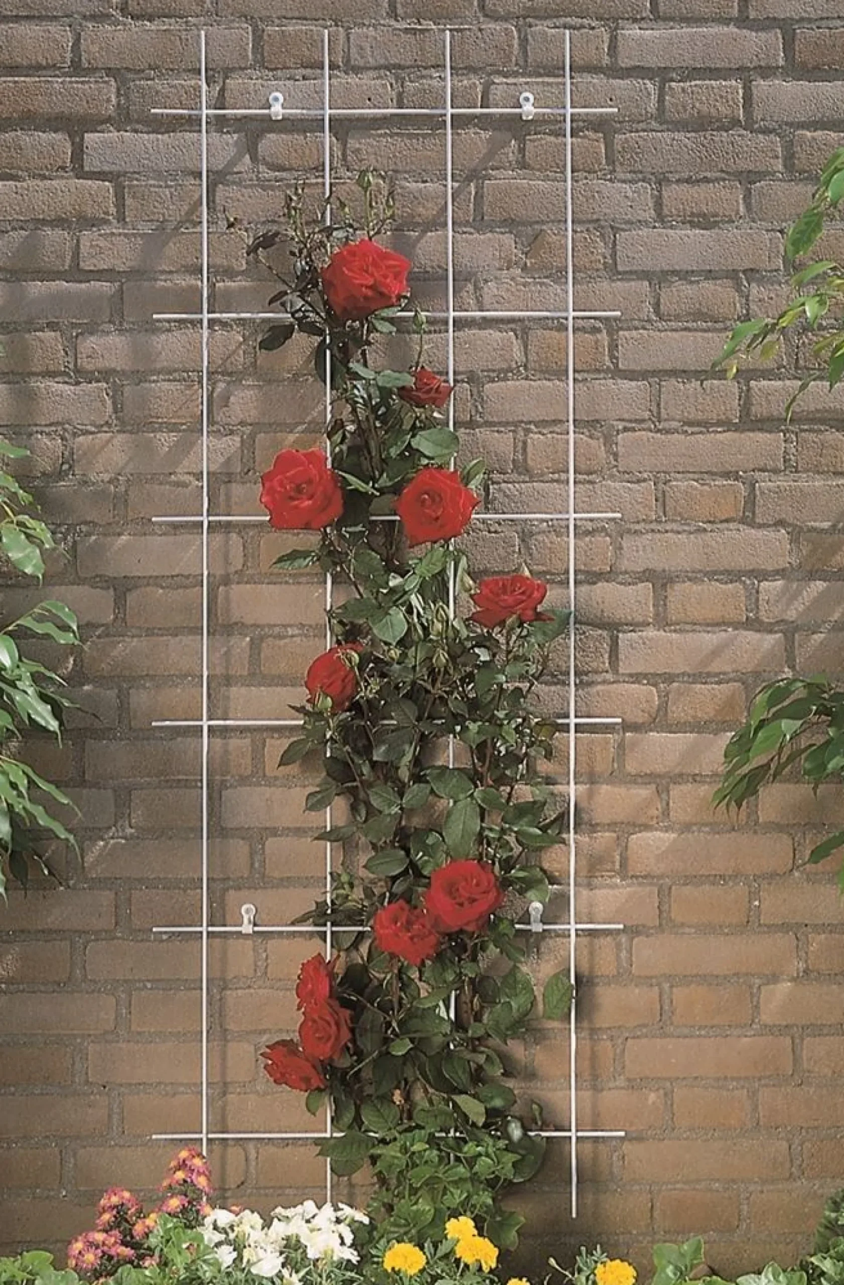 ohgreen Bind En Steun|Ecocheques|Metalen klimrek grijs