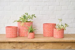 ohgreen Potten En Vazen|MINIPOT D8 METRIC KORAAL