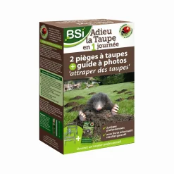 ohgreen Mollen|Mollenval Mol-weg in 1 dag