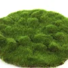 ohgreen Sfeermakers|Mosschijf marchantiophyta m