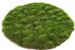 ohgreen Sfeermakers|Mosschijf marchantiophyta l