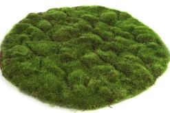 ohgreen Sfeermakers|Mosschijf marchantiophyta xl
