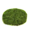 ohgreen Sfeermakers|Mosschijf marchantiophyta xs