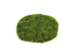 ohgreen Sfeermakers|Mosschijf marchantiophyta xs