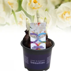 ohgreen Voorjaar|Ecocheques|Narcis bridal crown