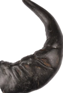 ohgreen Hond Voeding|Nature snack hoorn large 1stuk