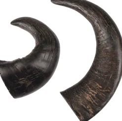 ohgreen Hond Voeding|Nature snack hoorn medium 2stuks