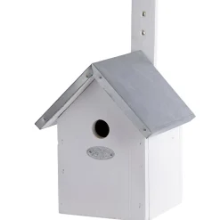 ohgreen Kooien|Nestkast Pimpelmees Wit