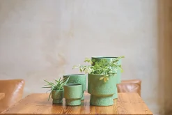 ohgreen Potten En Vazen|ORCHIDEEPOT D15 MOON GRASGRO