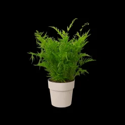 ohgreen Ecocheques|Potten En Vazen|ORIGINAL ROND 16CM WARM GRIJS