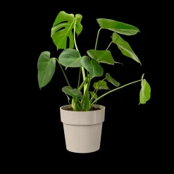 ohgreen Ecocheques|Potten En Vazen|ORIGINAL ROND 25CM WARM GRIJS