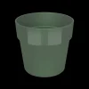 ohgreen Ecocheques|Potten En Vazen|ORIGINAL ROND MINI 7CM BLAD GROEN
