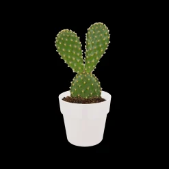 ohgreen Ecocheques|Potten En Vazen|ORIGINAL ROND MINI 7CM WIT