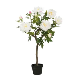 ohgreen Sfeermakers|Pioen in pot - l40xb50xh96cm