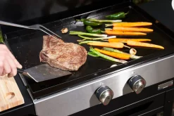 ohgreen Andere Toestellen|Plancha gas Original 260 Duo Edition