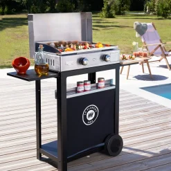 ohgreen Andere Toestellen|Plancha gas RVS duo Edition 260 gas